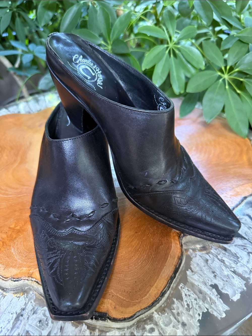 Charlie 1 Horse Western Mule